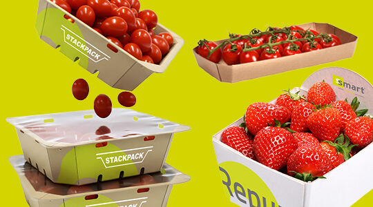 PPWR: how do the new European packaging rules affect your business?