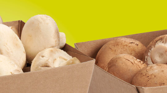 Up to 20% less material: how Smart Packaging Solutions is making packaging lighter