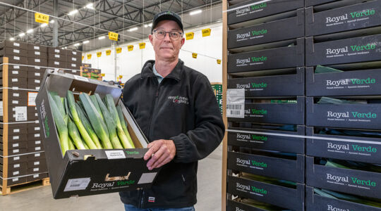 Nowe opakowanie do porów: solidne tace z tektury litej