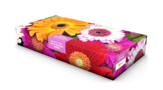 Smart Packaging Solutions | Solid board packaging