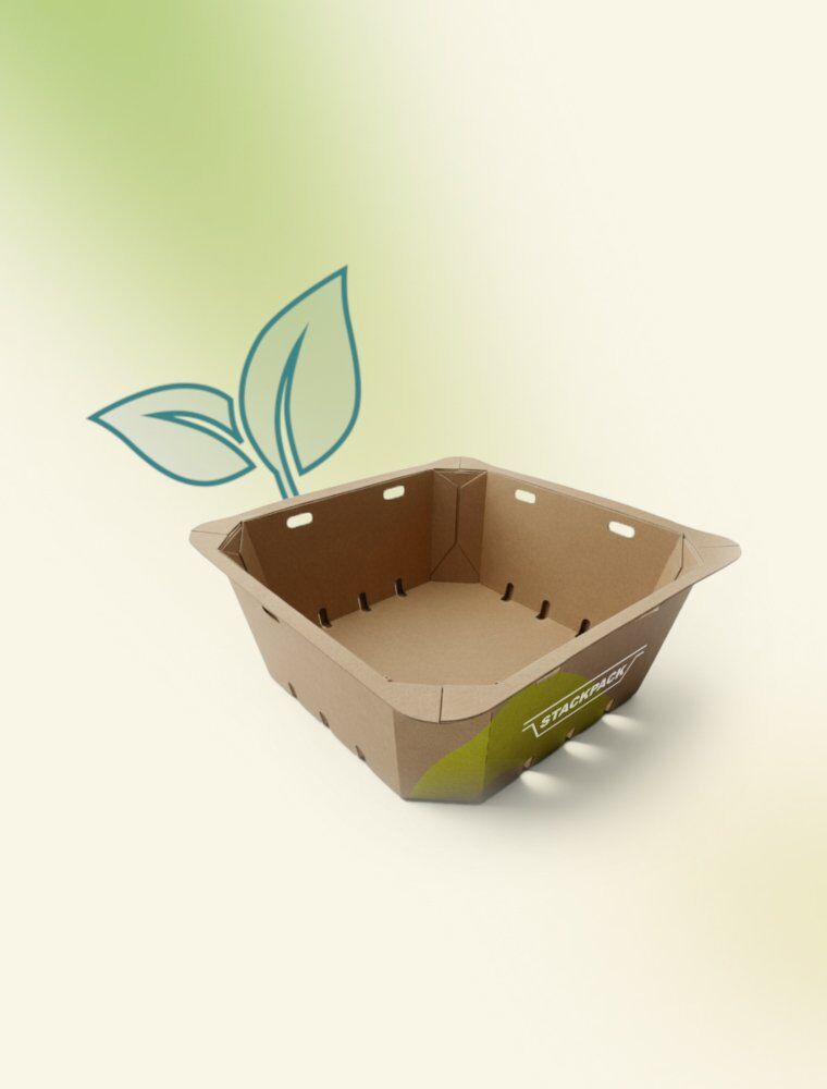 reduction-image.original